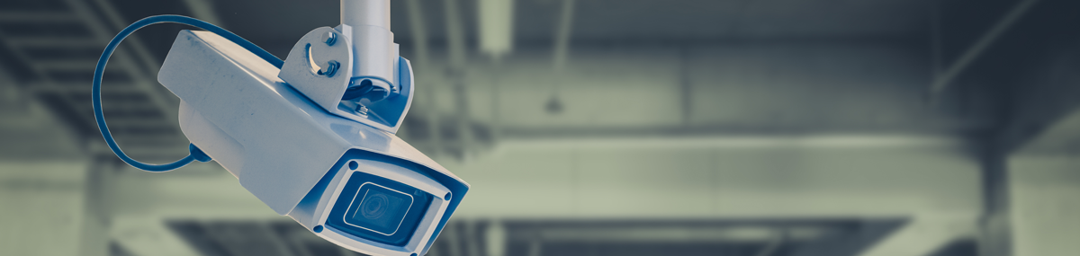 Business Security and Surveillance Systems - Maximum Security Services