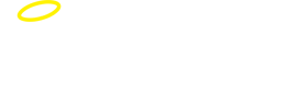 Maximum Security Services