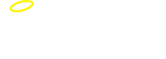 Maximum Security Services Buffalo NY